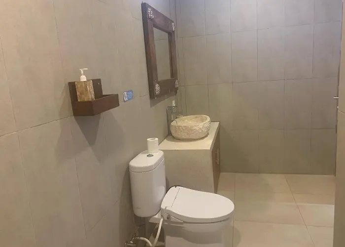 Kakol 3*